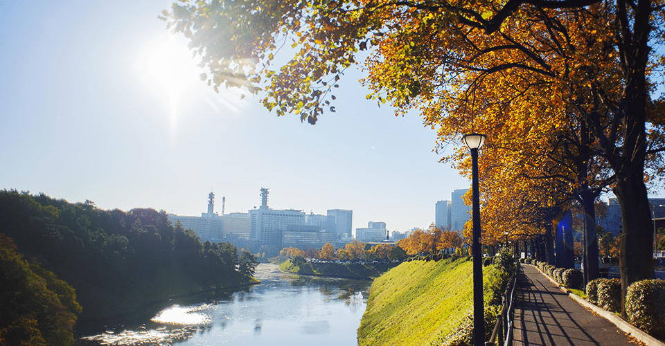 Landscape around (Autumn)