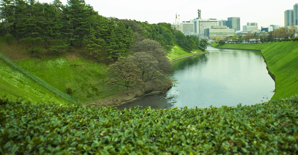 半蔵門総合法律事務所 周辺の風景（夏）